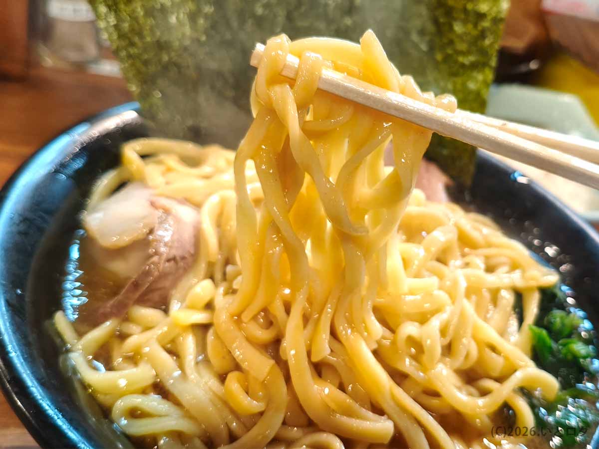 吉祥寺武蔵家 本店の家系ラーメンから、豚骨醤油スープをまとった平打ちの太麺を箸で持ち上げた様子