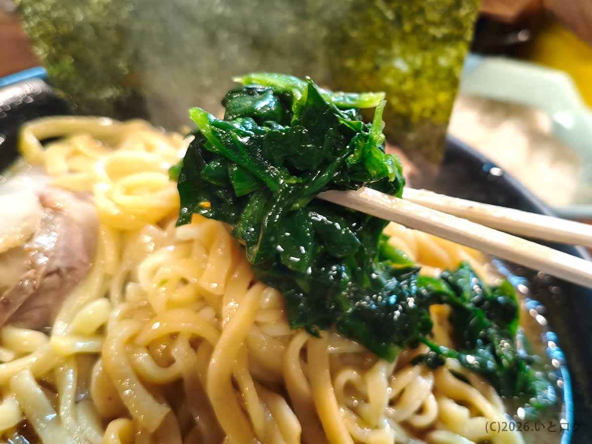 吉祥寺武蔵家 本店の家系ラーメンに盛られたほうれん草。豚骨醤油スープを吸った青々とした葉を箸で持ち上げている