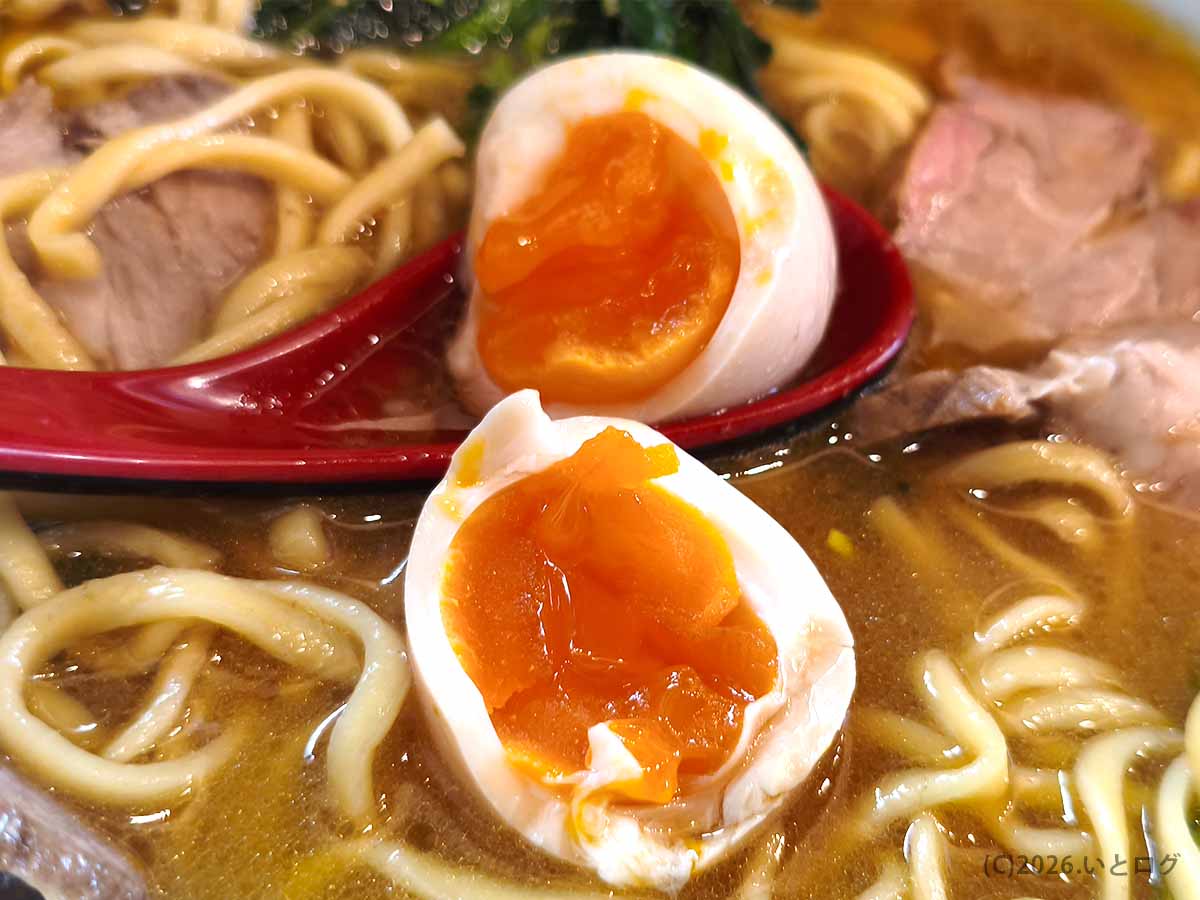 鮮やかなオレンジ色の黄身がとろりと仕上がった「たま家 多摩本店」の半熟味玉