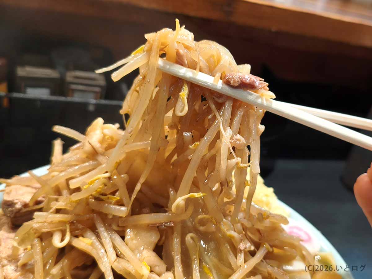 自家製麺No11大山のラーメンに盛られた、スープとアブラをまとったクタクタ食感のモヤシとキャベツ