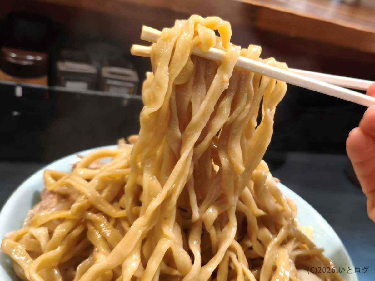 富士丸系ラーメンの自家製麺No11で提供される、うねりの強い平打ち極太自家製麺を箸で持ち上げた様子
