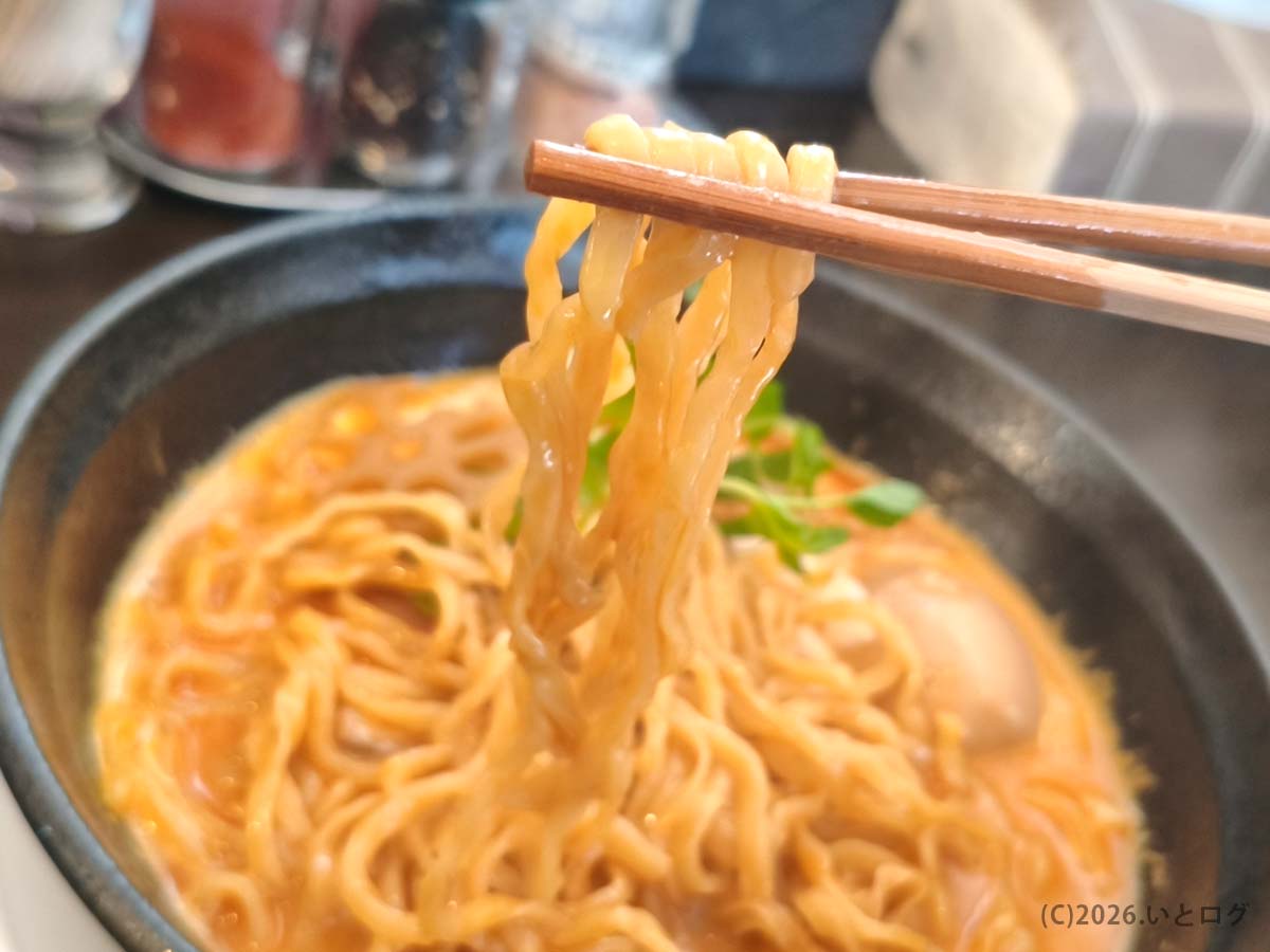 山梨 煮干しラーメン系の旨味を感じる中華そば 蘭の中太麺