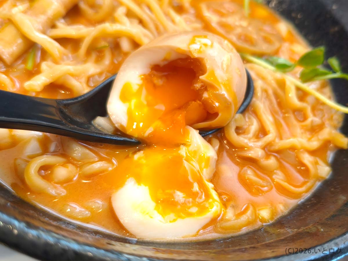 甲府 ラーメン 人気店を目指す名もなきラーメン屋の半熟味玉。濃厚スープに黄身が絡む