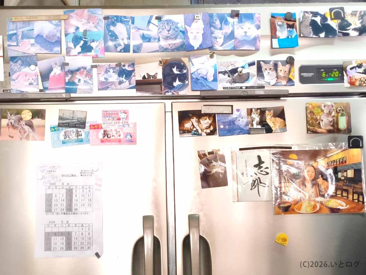 宮崎市の竜宮ラーメン店内に飾られているたくさんの猫の写真