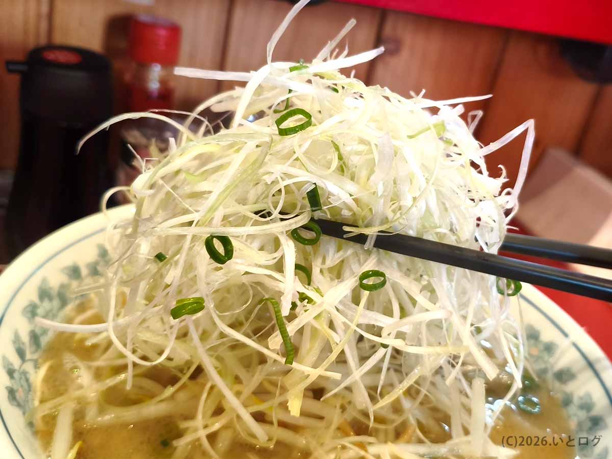 宮崎・都城のラーメンいってつで注文した、山盛りの白髪ねぎが特徴的なねぎラーメン