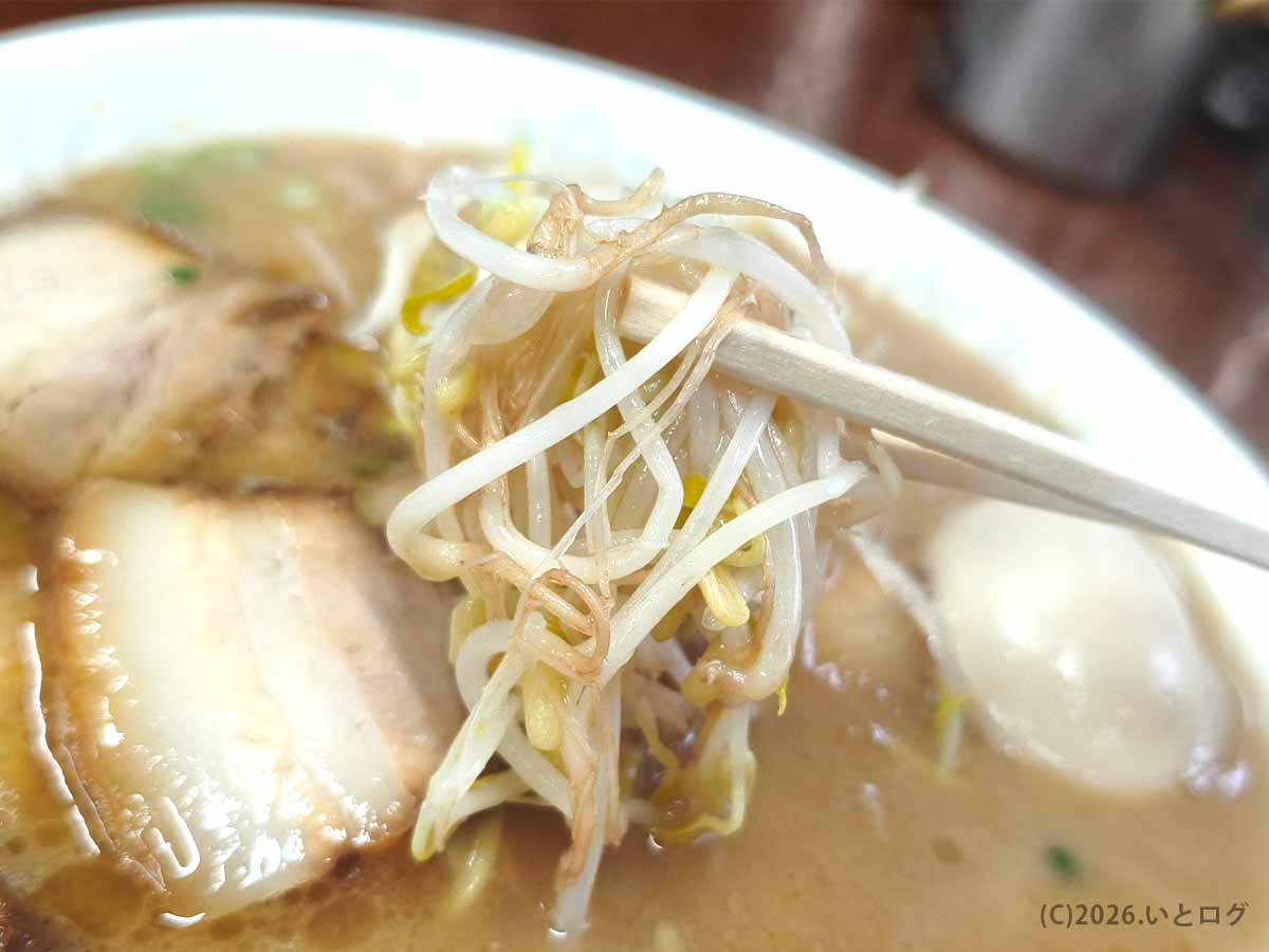 ラーメン洋の豚骨ラーメンにのったもやしを箸で持ち上げた様子。スープをまとったシャキシャキのもやし