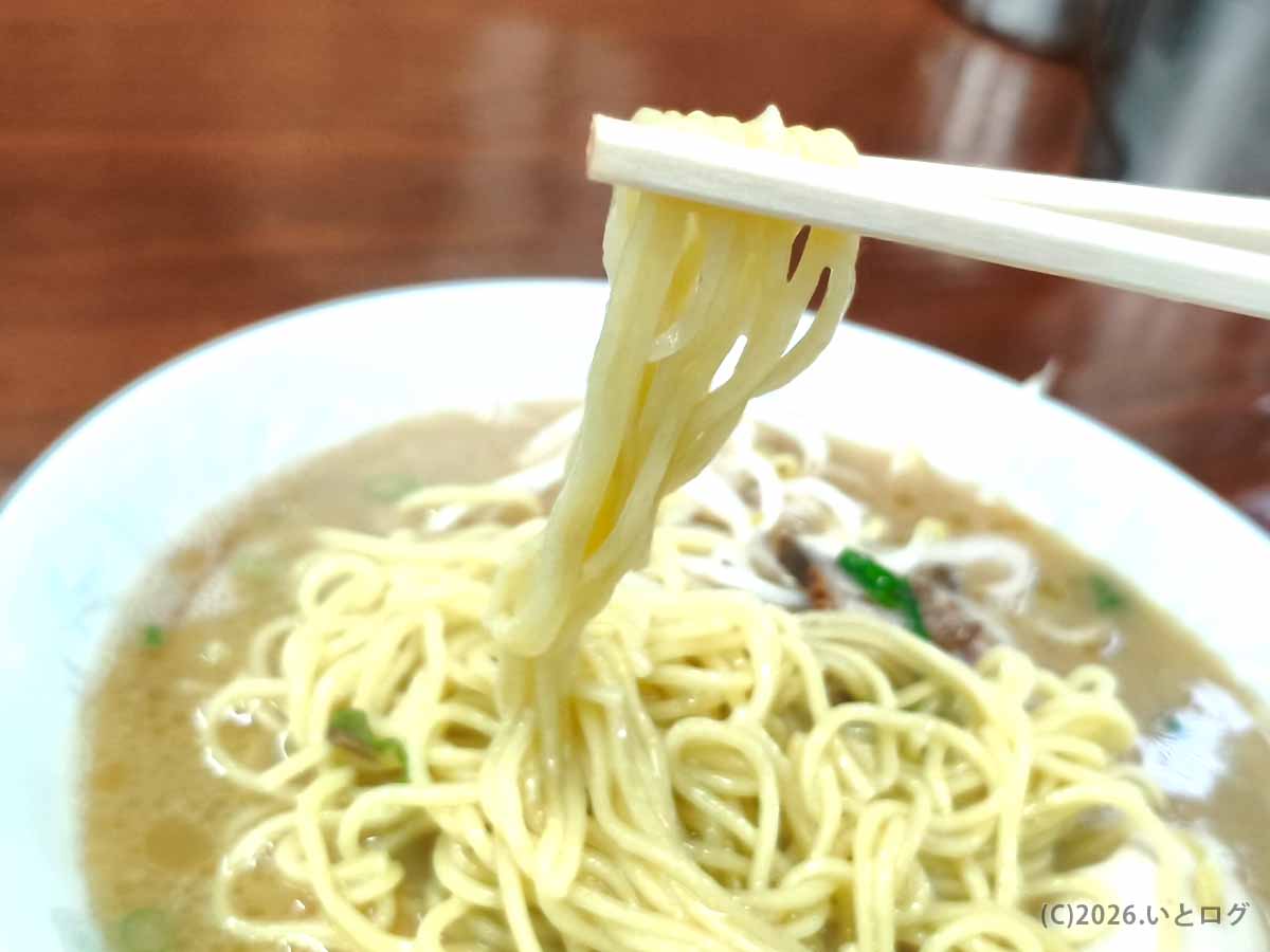 宮崎市のラーメン洋で中細ストレート麺を箸で持ち上げた様子。豚骨スープと絡む黄色みのある麺