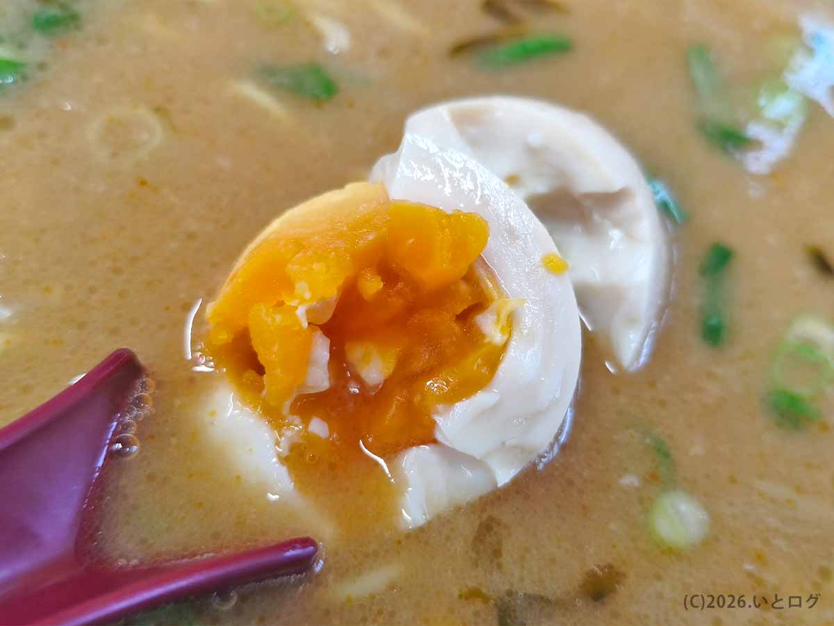 ラーメン洋の煮玉子を割った断面。濃いオレンジ色の黄身と豚骨スープを一緒に楽しめるトッピング