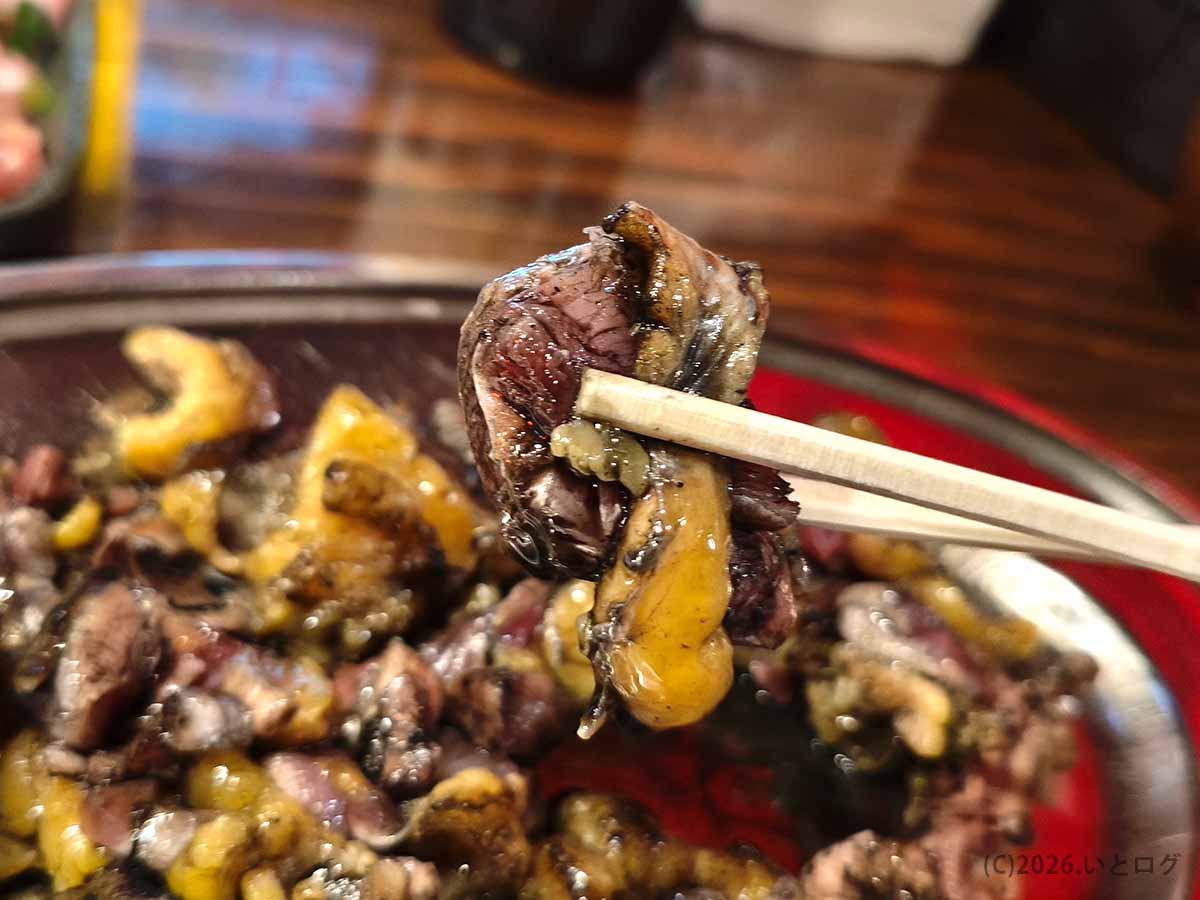 丸万焼鳥 支店のもも焼きを箸で持ち上げた様子。炭火で焼かれた鶏肉のジューシーな身と皮が見える