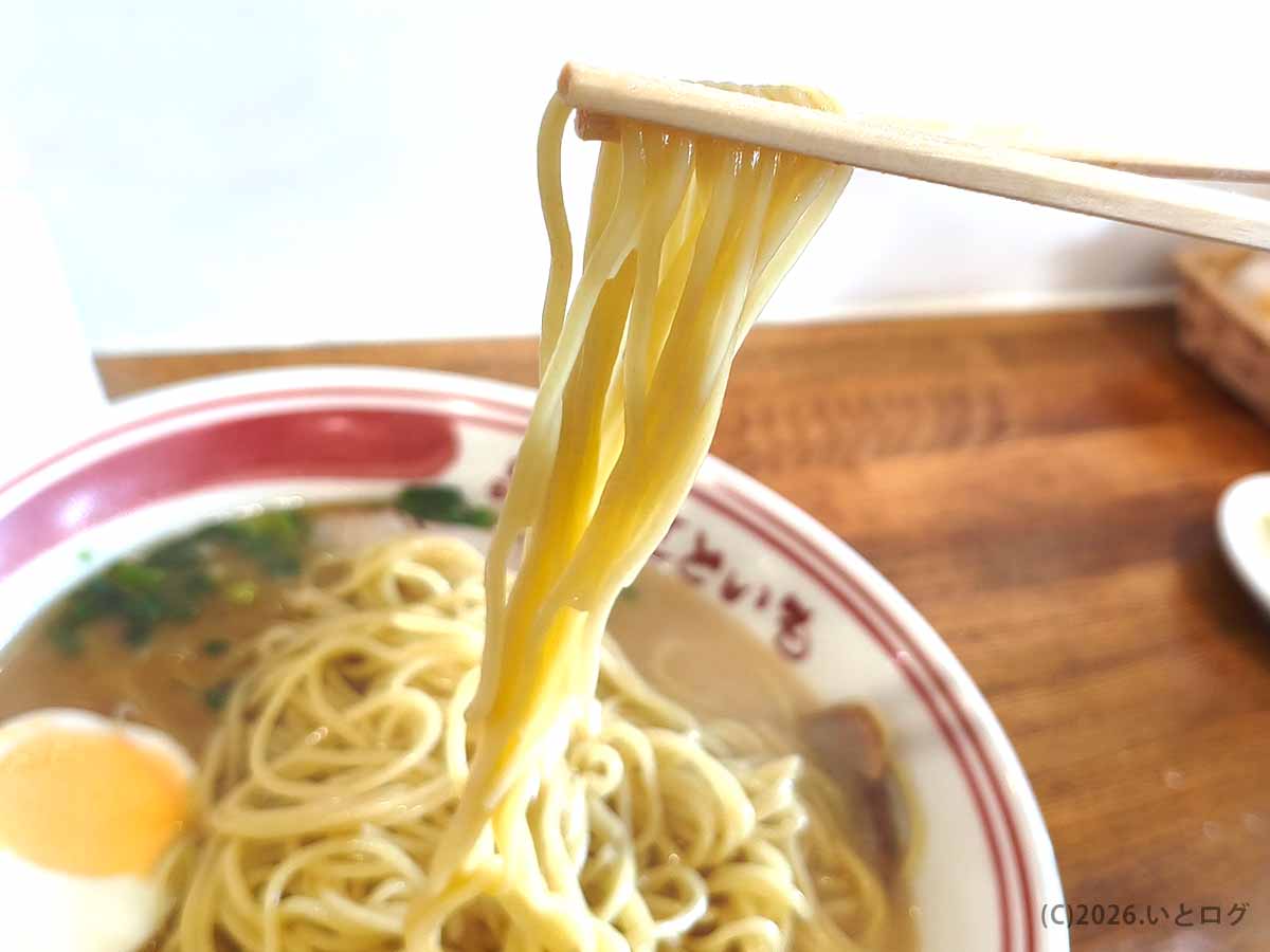 宮崎ラーメンの人気店・らーめん本舗 さといも 本店の自家製麺を箸で持ち上げた様子
