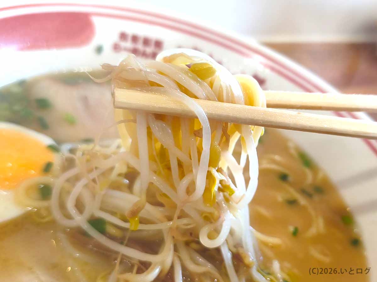 宮崎市のらーめん本舗 さといも 本店で、自家製麺ともやしを一緒に箸で持ち上げた様子