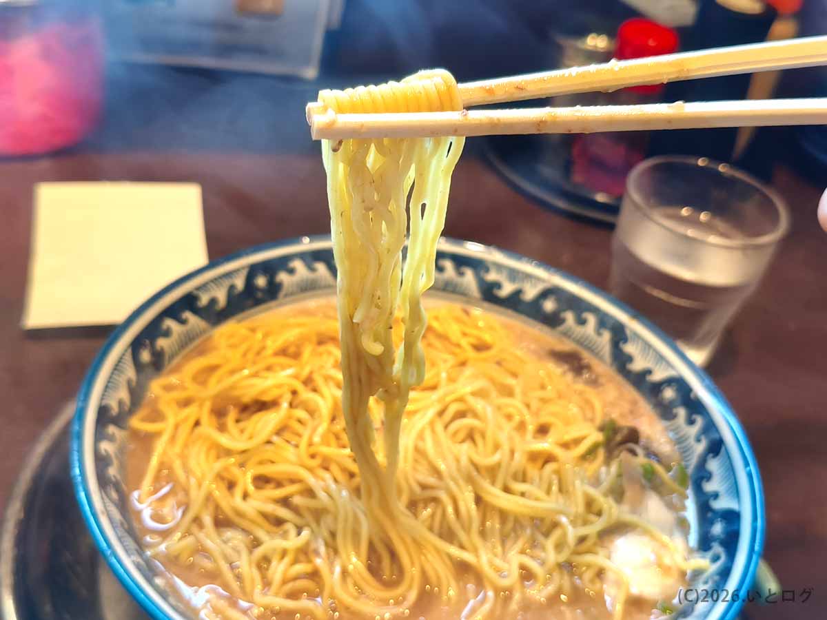 風来軒 加納本店の濃厚豚骨スープから麺を箸で持ち上げた様子。スープをまとったストレート寄りの麺