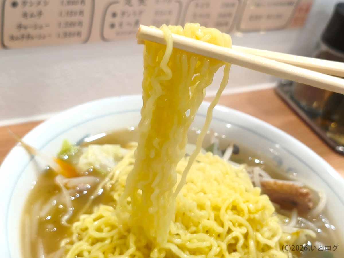 湯村食堂のタンメンの縮れ麺。スープによく絡む懐かしい食堂ラーメン