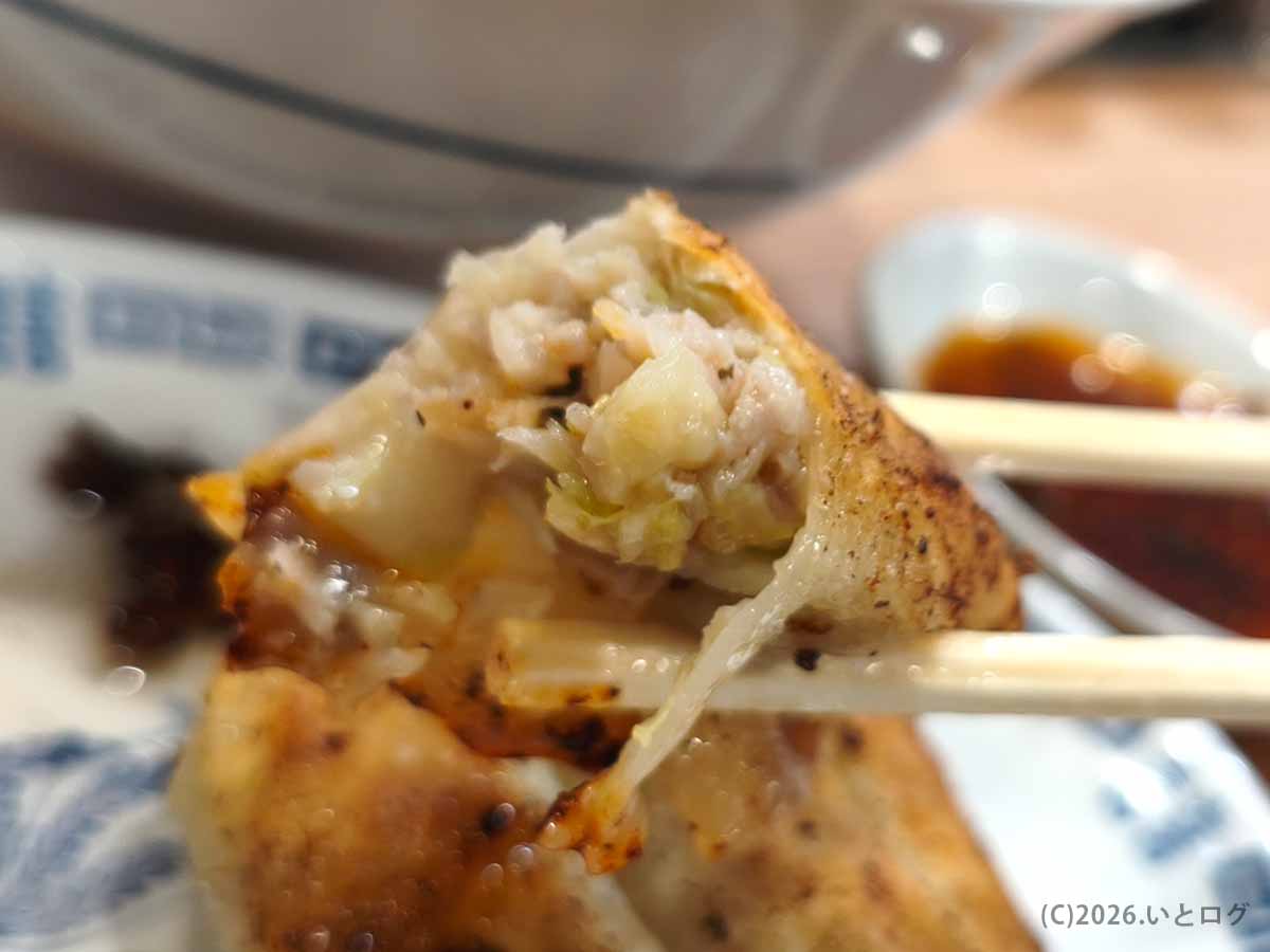 湯村食堂の焼き餃子。香ばしく焼かれた甲府の人気食堂メニュー