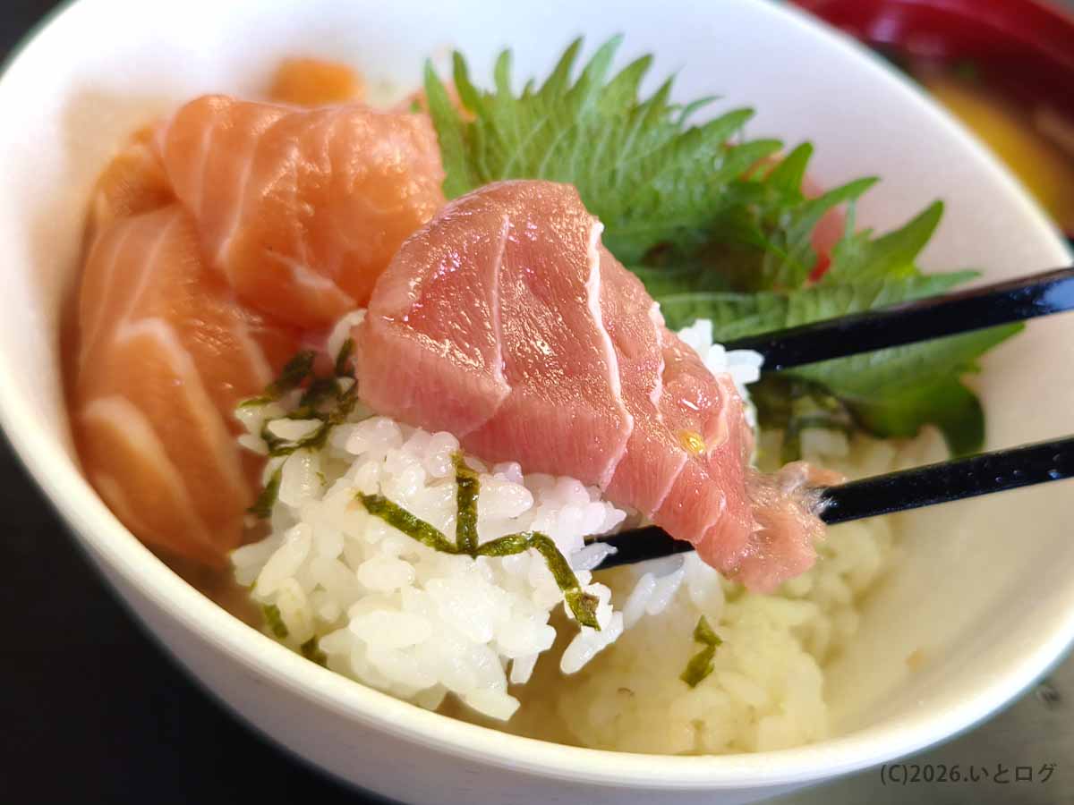 麺と酒 月乃家のセットメニュー「マグロサーモン丼」。箸でひと口分のご飯と新鮮なマグロの刺身を持ち上げた実食シーン。