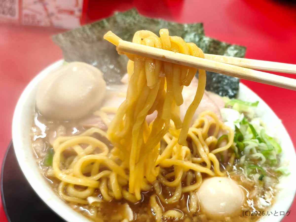 との丸家 伊勢崎店の豚骨醤油スープを絡めた太めの家系ラーメンの麺