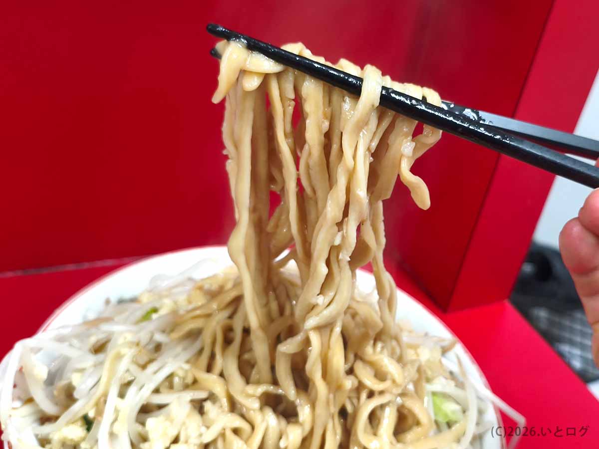 ラーメン二郎 大宮公園駅前店のスープをまとった太めの平打ち麺