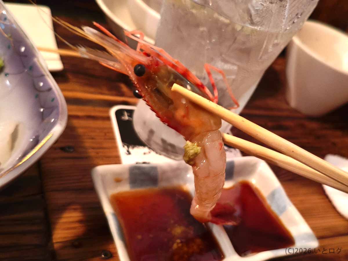 富山市の金泉で味わった新鮮な甘エビの刺身