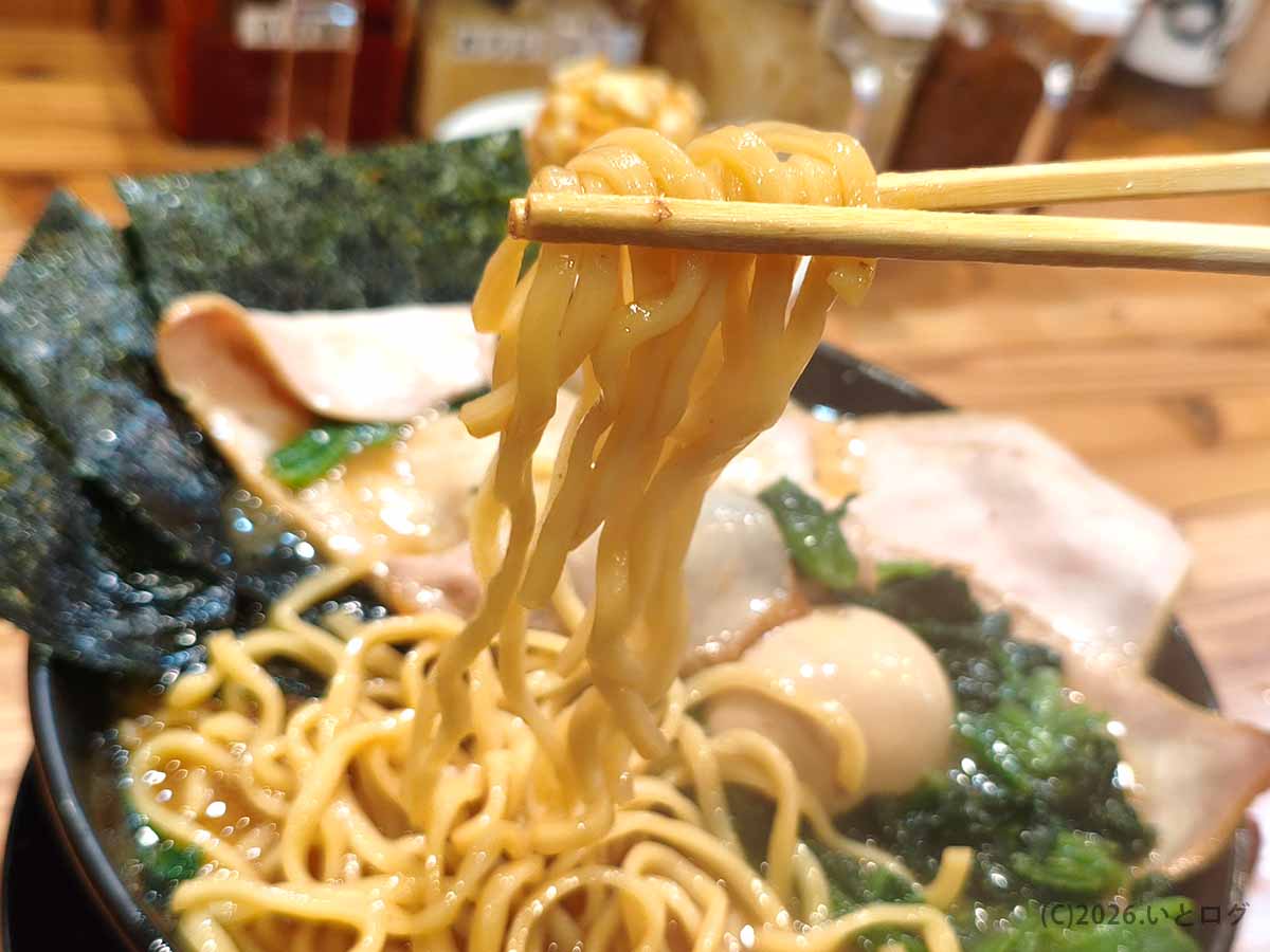 富山家ラーメンの麺リフト。濃厚な豚骨醤油スープをまとった太麺で、王道家系ラーメンらしい食べごたえがある。