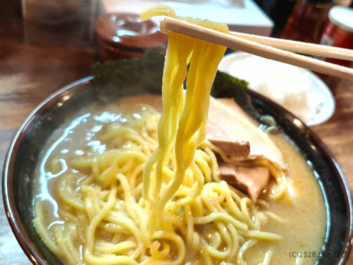 松本の塩八で提供される豚骨塩らぁめんの黄色みがかった太麺