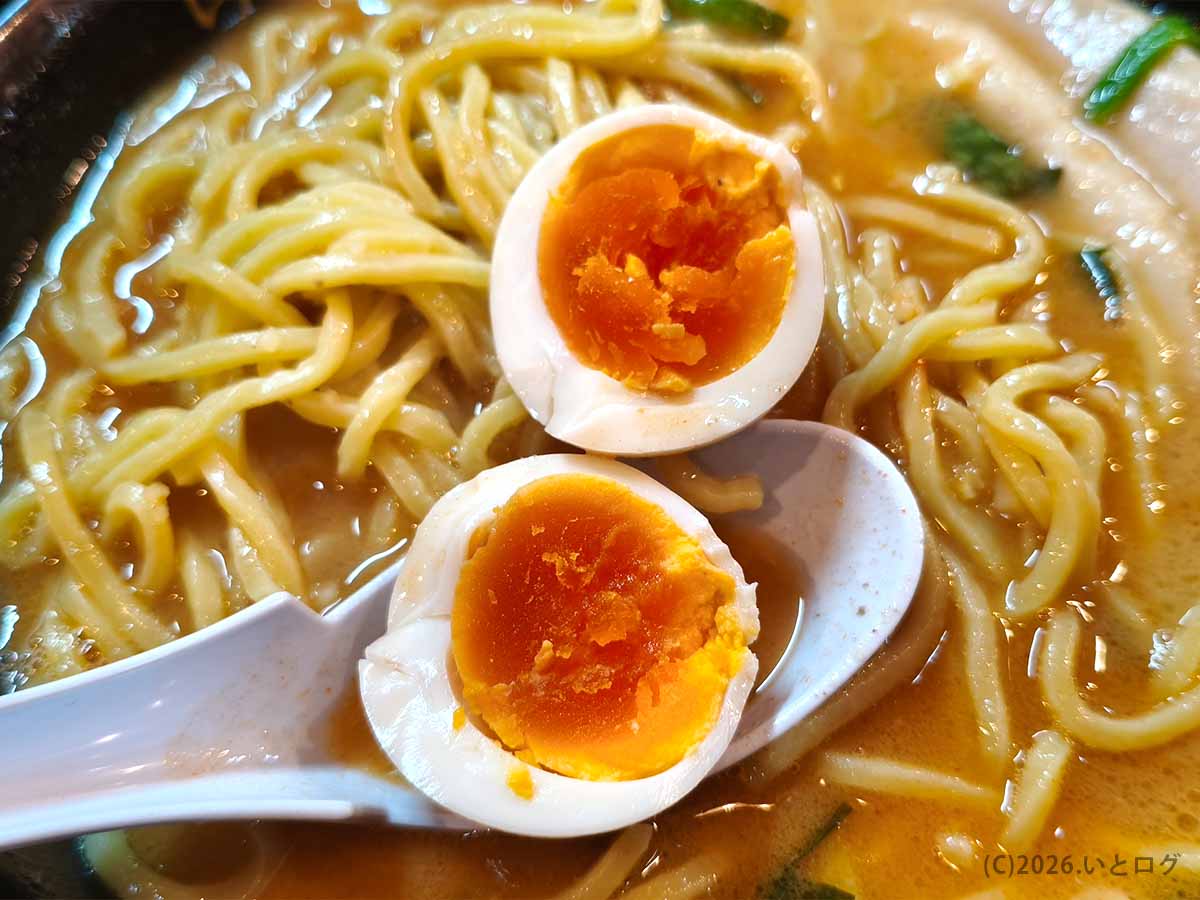 塩八の豚骨塩らぁめんに追加した味玉の断面