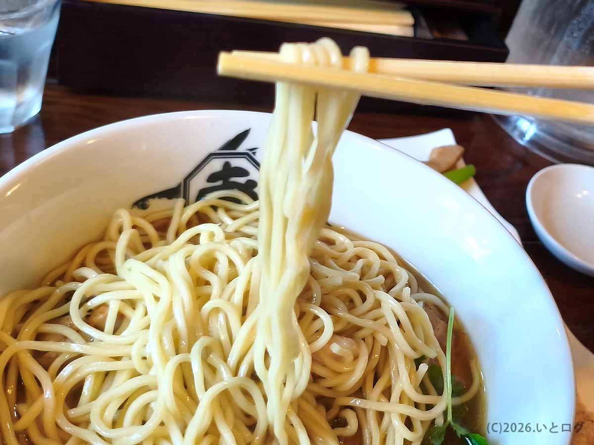 麺屋あごすけの鶏塩上湯麺から持ち上げた自家製の細麺