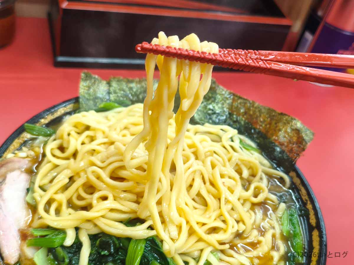 新潟県上越市「上越家」の家系ラーメンから持ち上げた中太麺