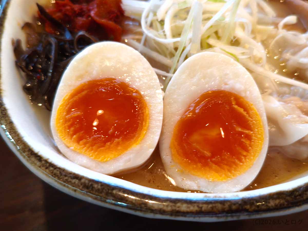 長岡「いち井」の塩ラーメンにトッピングされた半熟の味玉