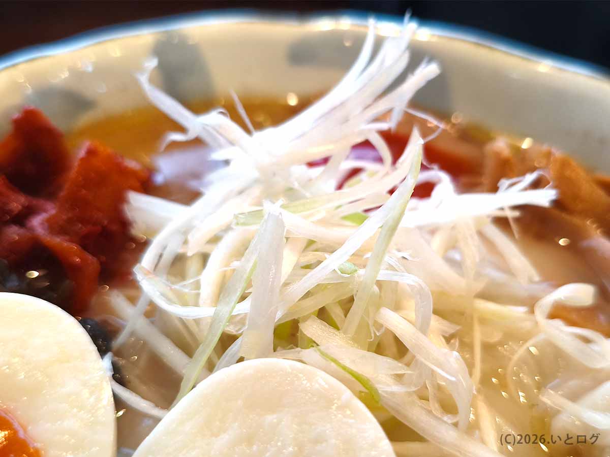 長岡「いち井」の塩ラーメンにたっぷり盛られた白髪ネギ