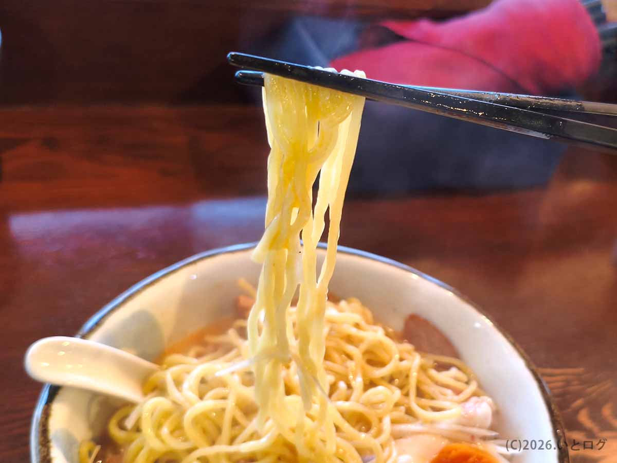 長岡「いち井」の焼きあご塩ラーメンに使われるコシのある中細麺