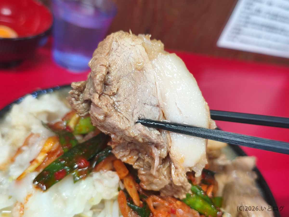 ラーメン二郎 新潟店の豚を箸で持ち上げた写真。厚切りチャーシューの肉質と大きな脂身がよく分かる。