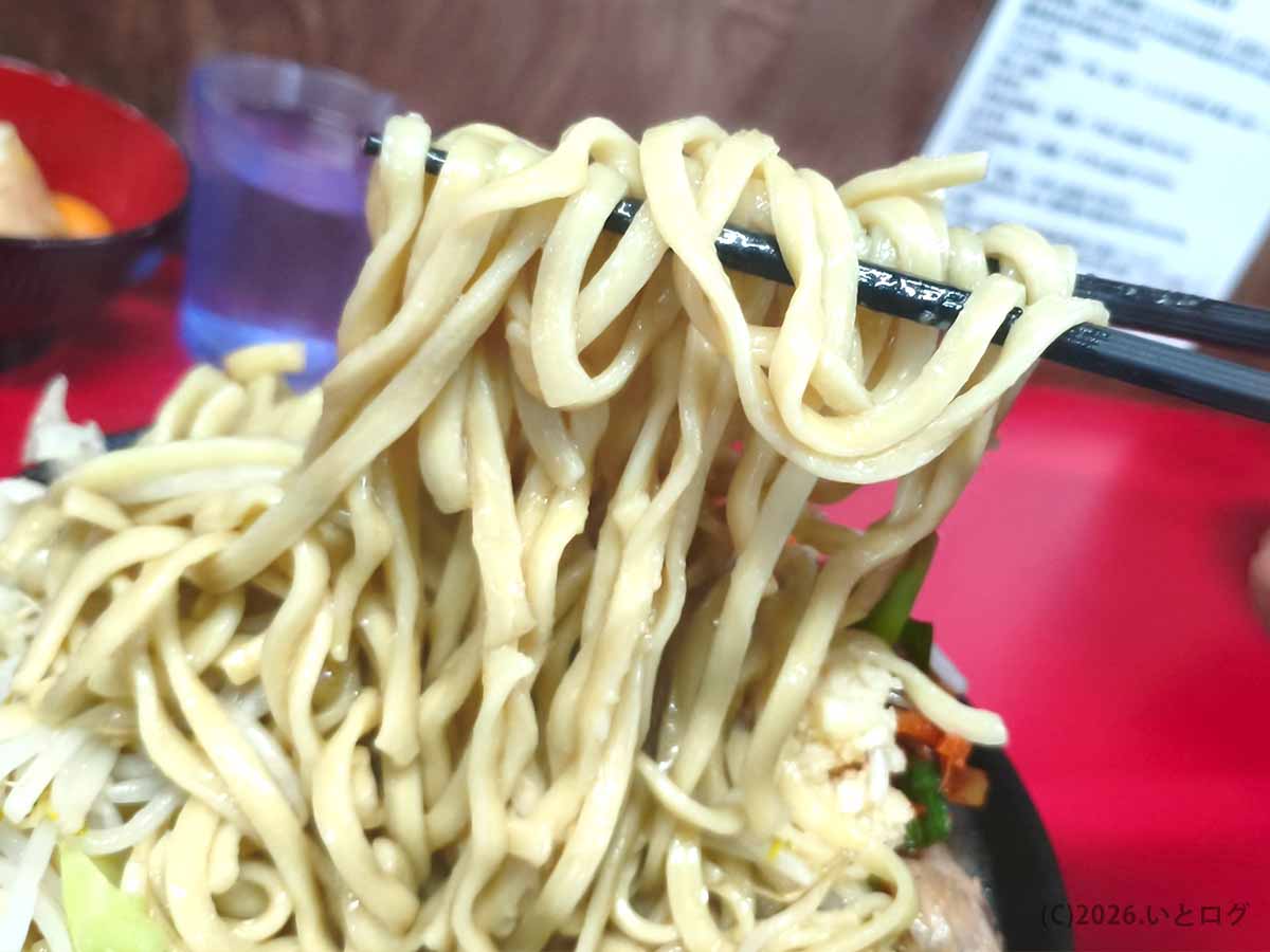 ラーメン二郎 新潟店の太い平打ち麺を箸で持ち上げた写真。うねりのある麺の形状や表面のツヤが分かる。