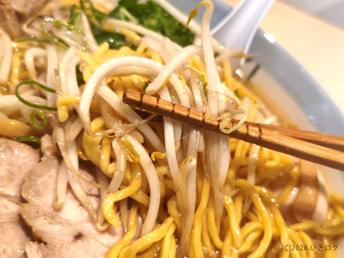 IOrIの味噌ラーメンに入ったもやしと黄色い縮れ麺。箸で持ち上げたもやしには麺が絡み、ネギやチャーシューも見える。