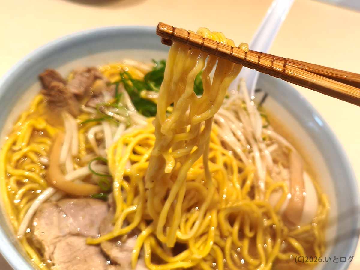 北海道千歳市のIOrIで食べられる味噌ラーメン。スープをまとった黄色い中太縮れ麺を箸で持ち上げた写真。