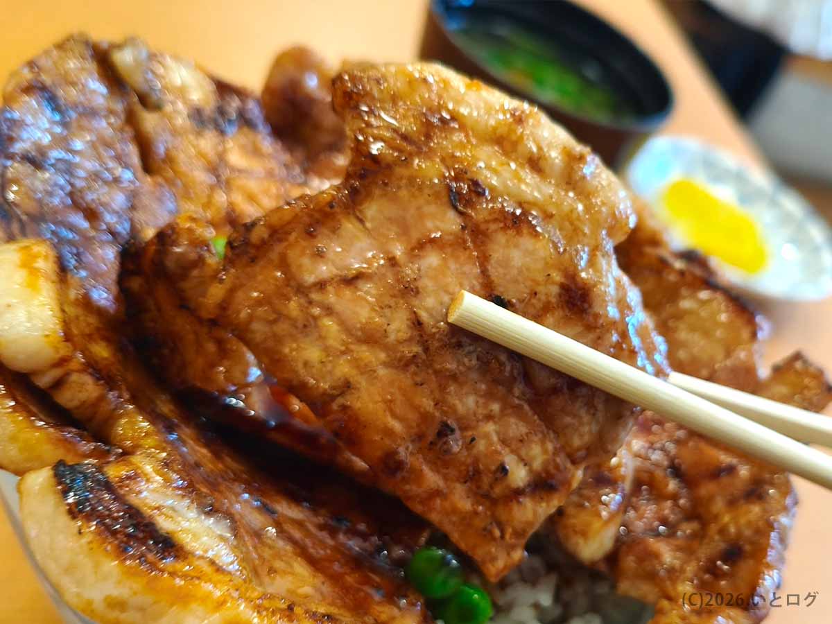 北海道帯広市のぱんちょうの豚丼を実食。甘辛いタレをまとった厚切りの豚肉を箸で持ち上げ、焼き目や肉の厚みを撮影。