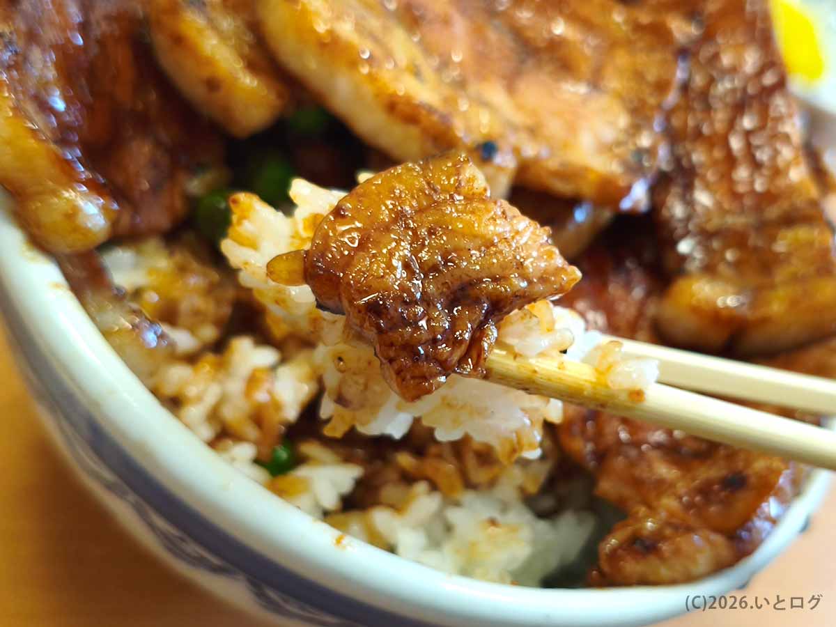 元祖豚丼のぱんちょうの豚丼。香ばしく焼かれた豚肉とタレの染みた白いご飯を箸で持ち上げた実食写真。