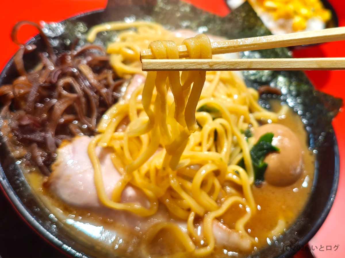 岡山県倉敷市の王道乃印 秀道家で提供される家系ラーメンの太めの麺を箸で持ち上げた様子