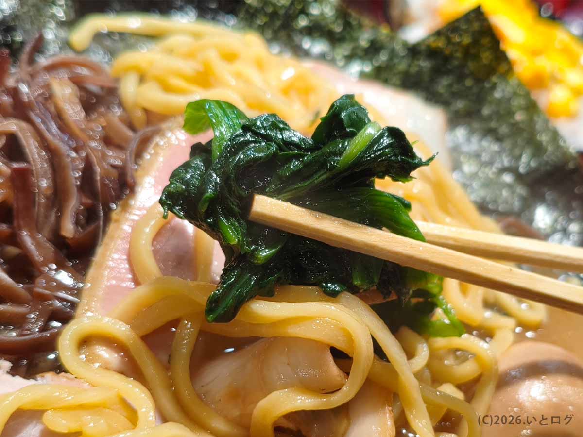 王道乃印 秀道家のラーメンに添えられた家系ラーメン定番のほうれん草