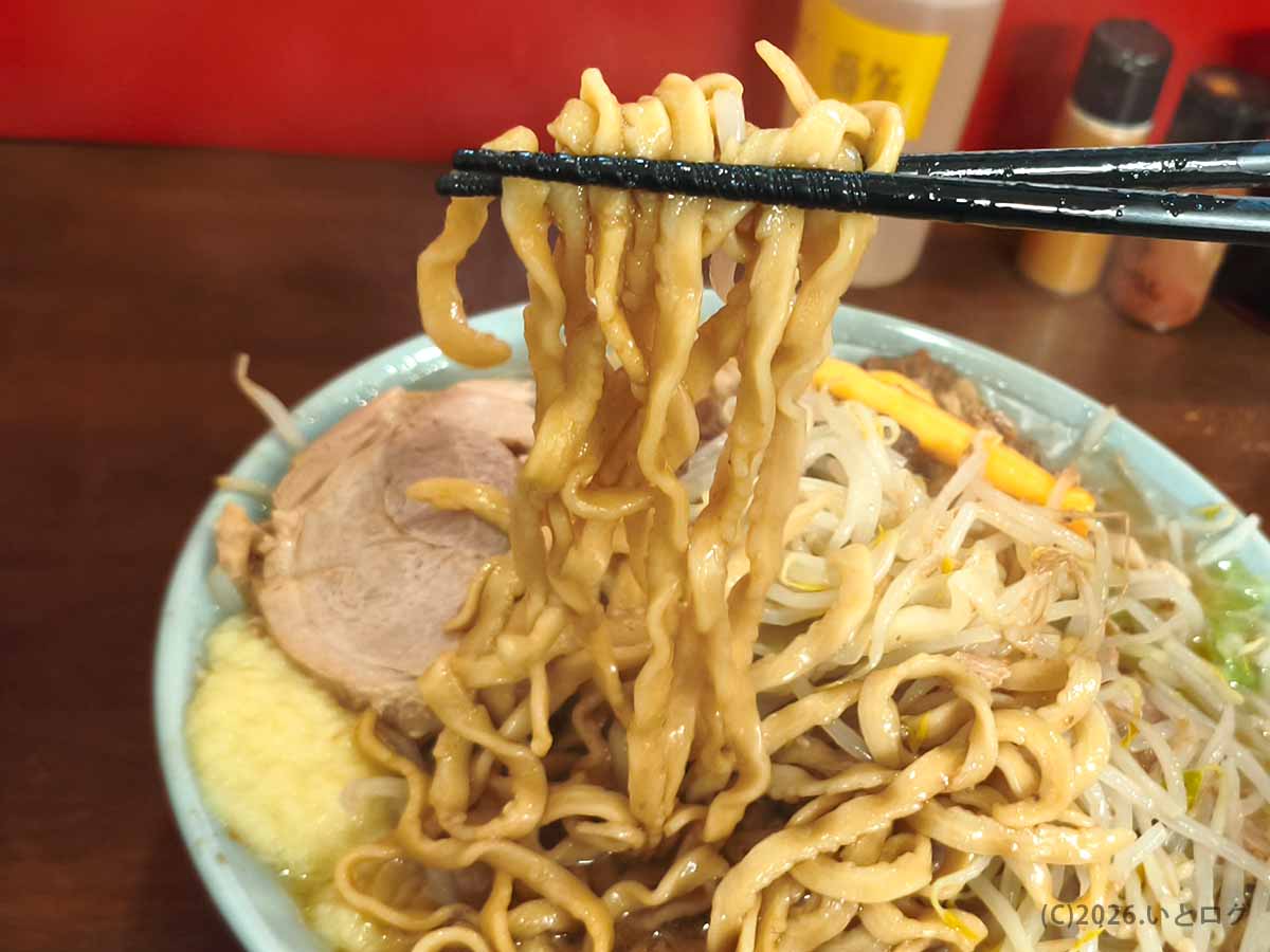 龍麺ふえ郎のラーメンで使用される太く縮れた麺を箸で持ち上げた様子