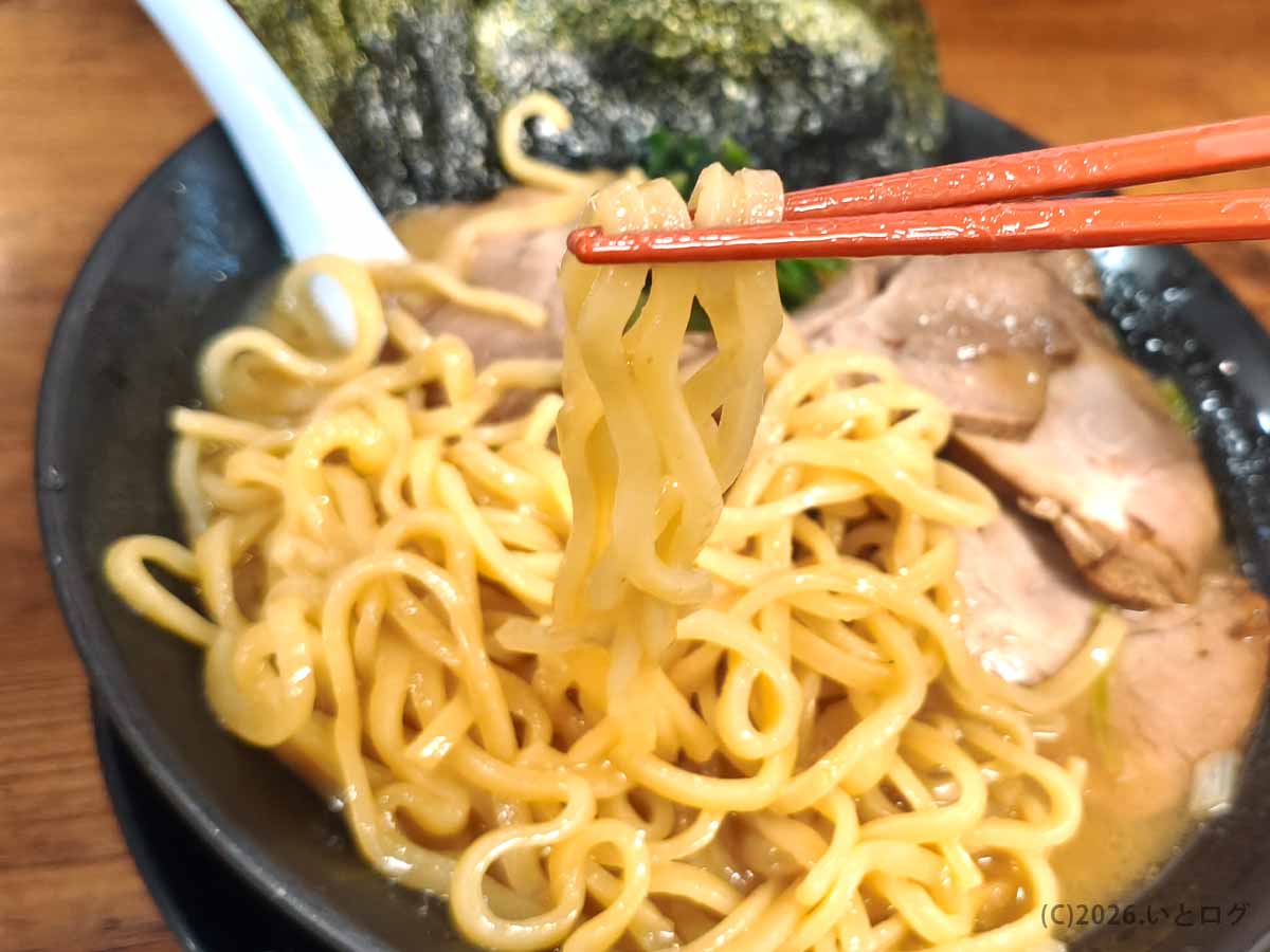 東京都豊島区の巣鴨家で提供される家系ラーメンの麺。箸で持ち上げた太めの麺に豚骨スープが絡む
