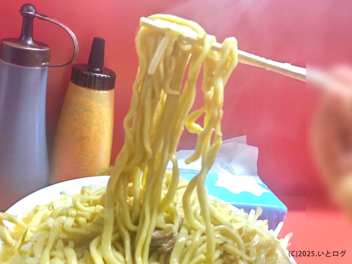 ラーメン二郎仙台店2の極太麺を箸で持ち上げた麺リフト。乳化スープをまとったコシのある麺。二郎 仙台 麺量の迫力が伝わる一枚