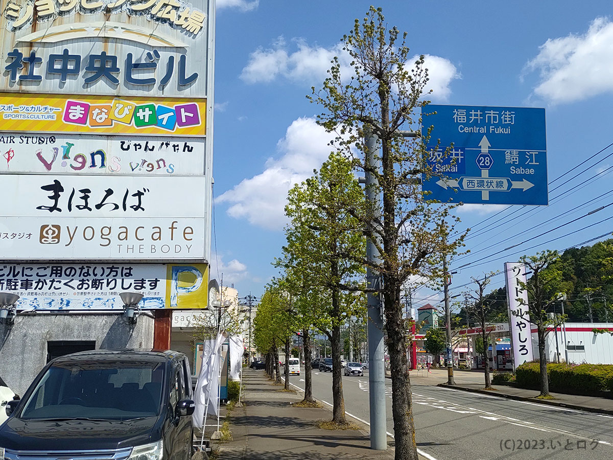 福井　ラーメン　まほろば