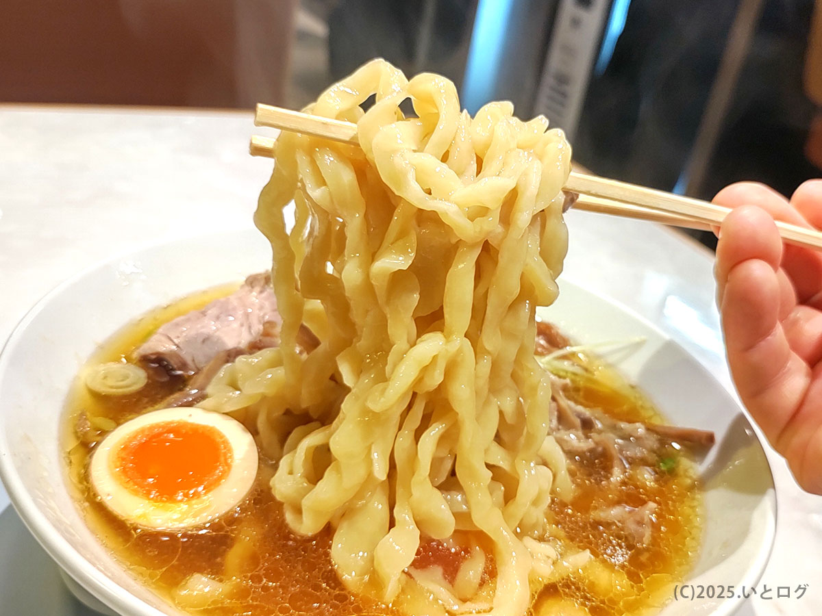 青竹手打ちの縮れ麺をリフトする瞬間。モチモチ食感が伝わり、綾川 ラーメン 静岡 レビューでも評判の弾力。