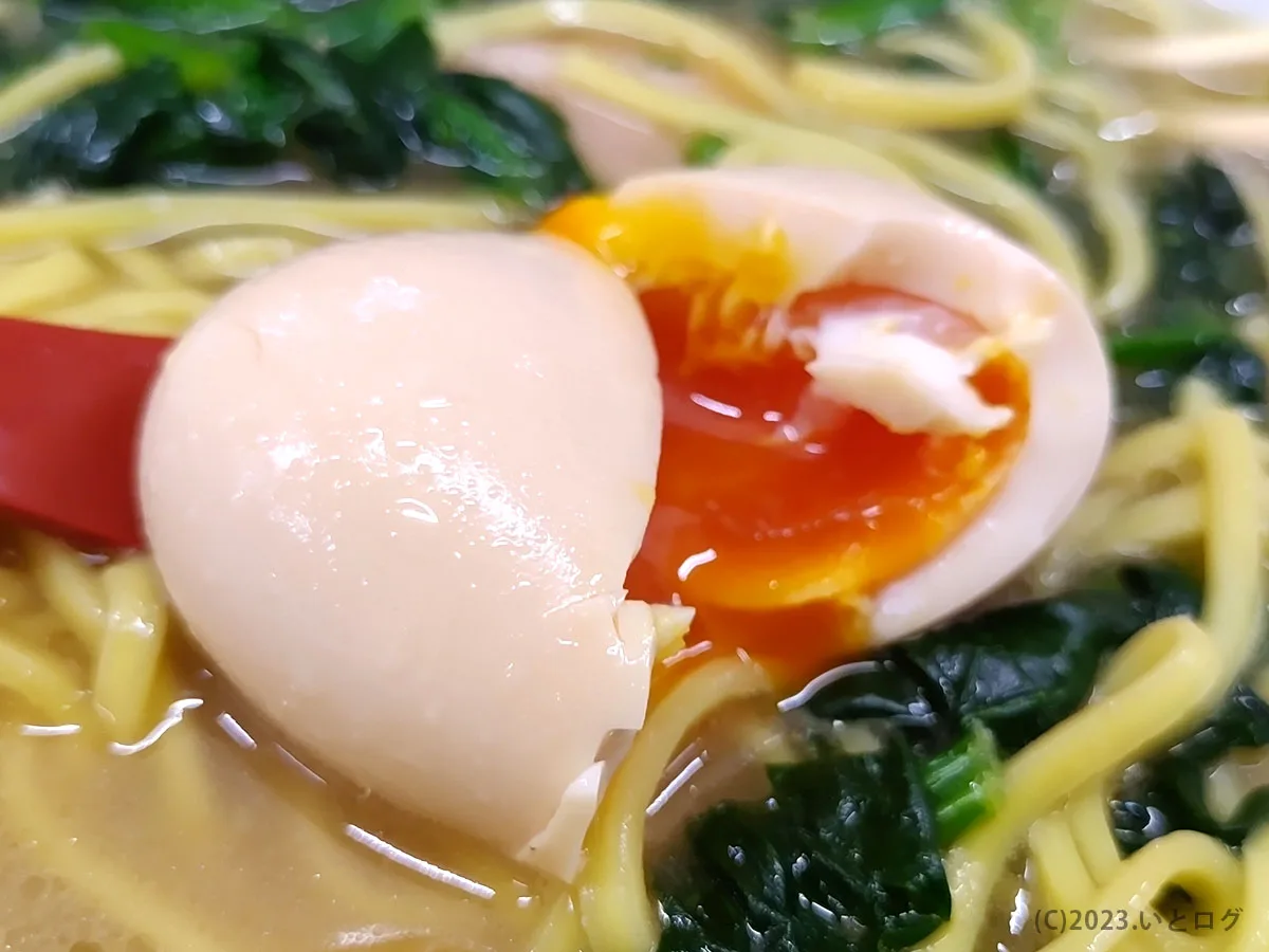 真打　石川　金沢市　ラーメン