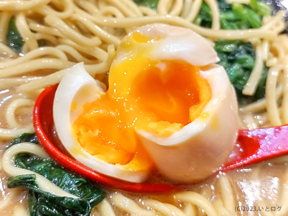 そだし　味玉　ラーメン