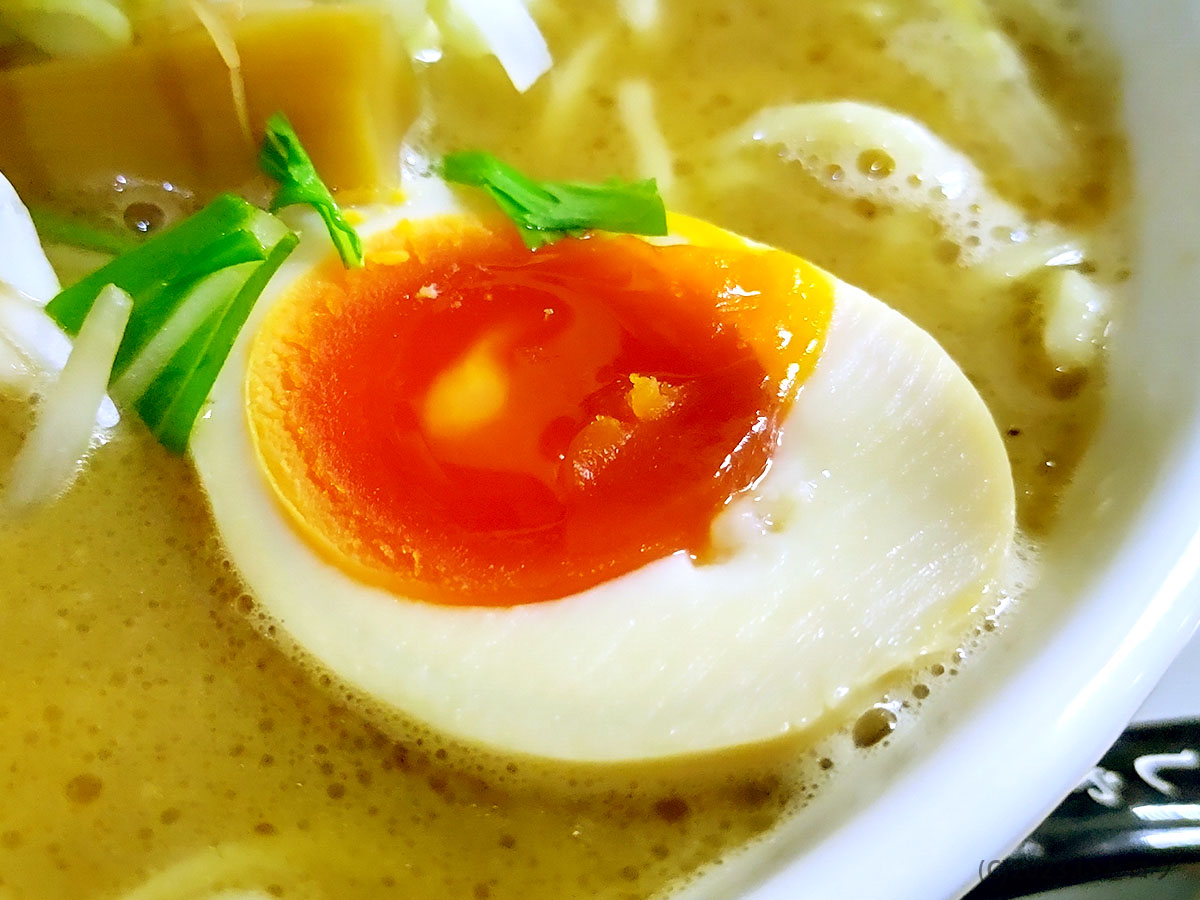 岐阜　ラーメン　白神