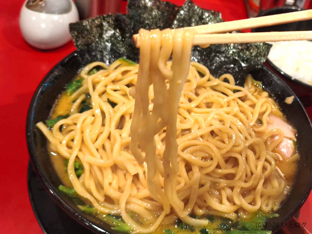 王道家直系 我道家 OSAKA本店の濃厚な豚骨醤油スープをまとった太めの家系ラーメンの麺