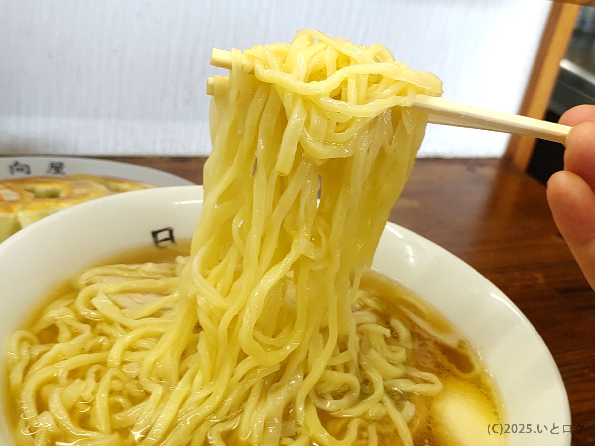 青竹手打ち特有のモチっとした細麺を豪快にリフト。スープをまとった艶が食欲を刺激する