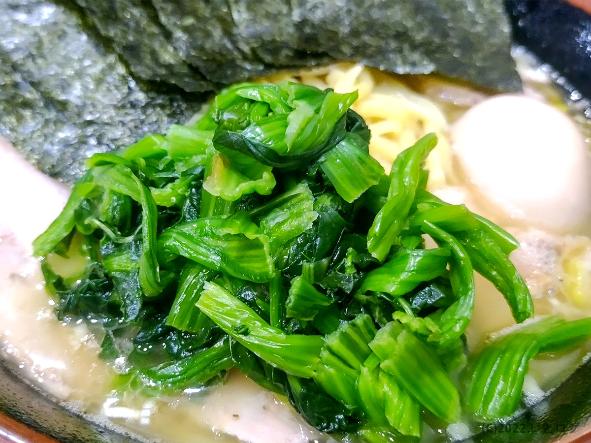 豚骨醤油ラーメン　ほうれん草