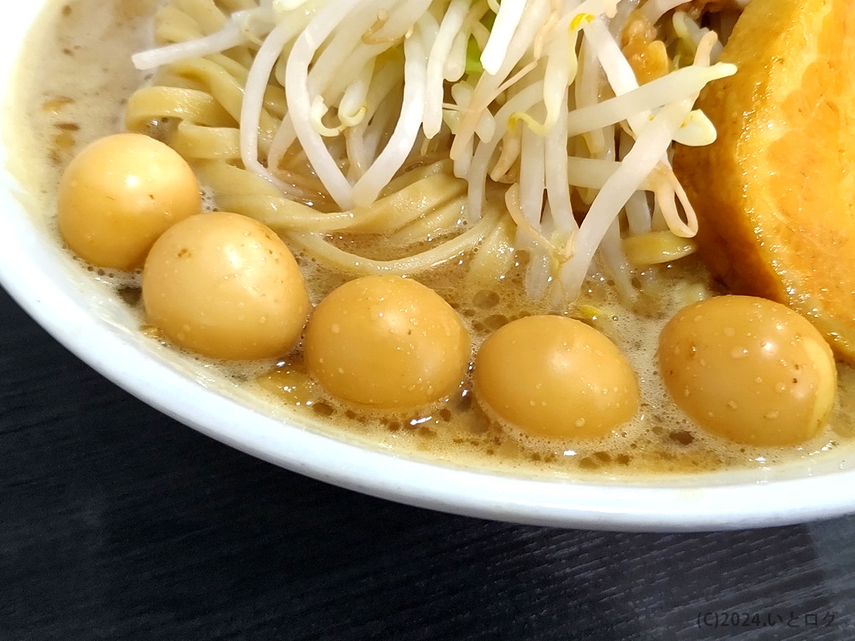 ラーメンフクロウ　大阪　鶴橋　ランチ